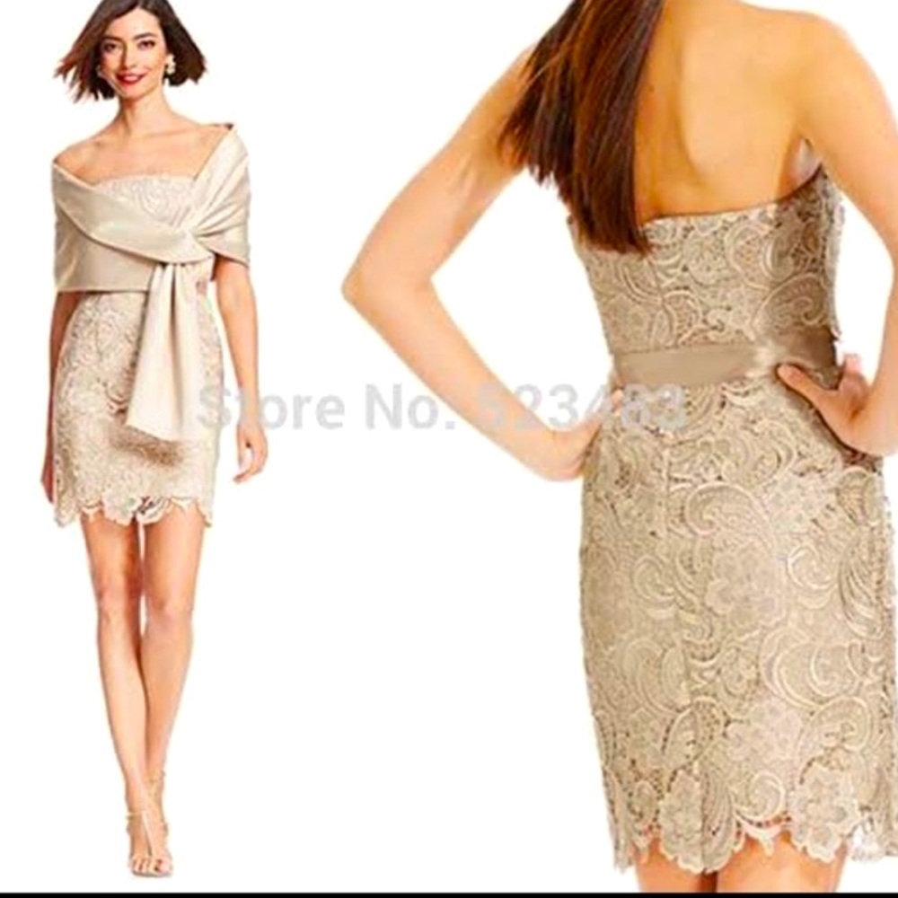 Adrianna papell cocktail evening dress.